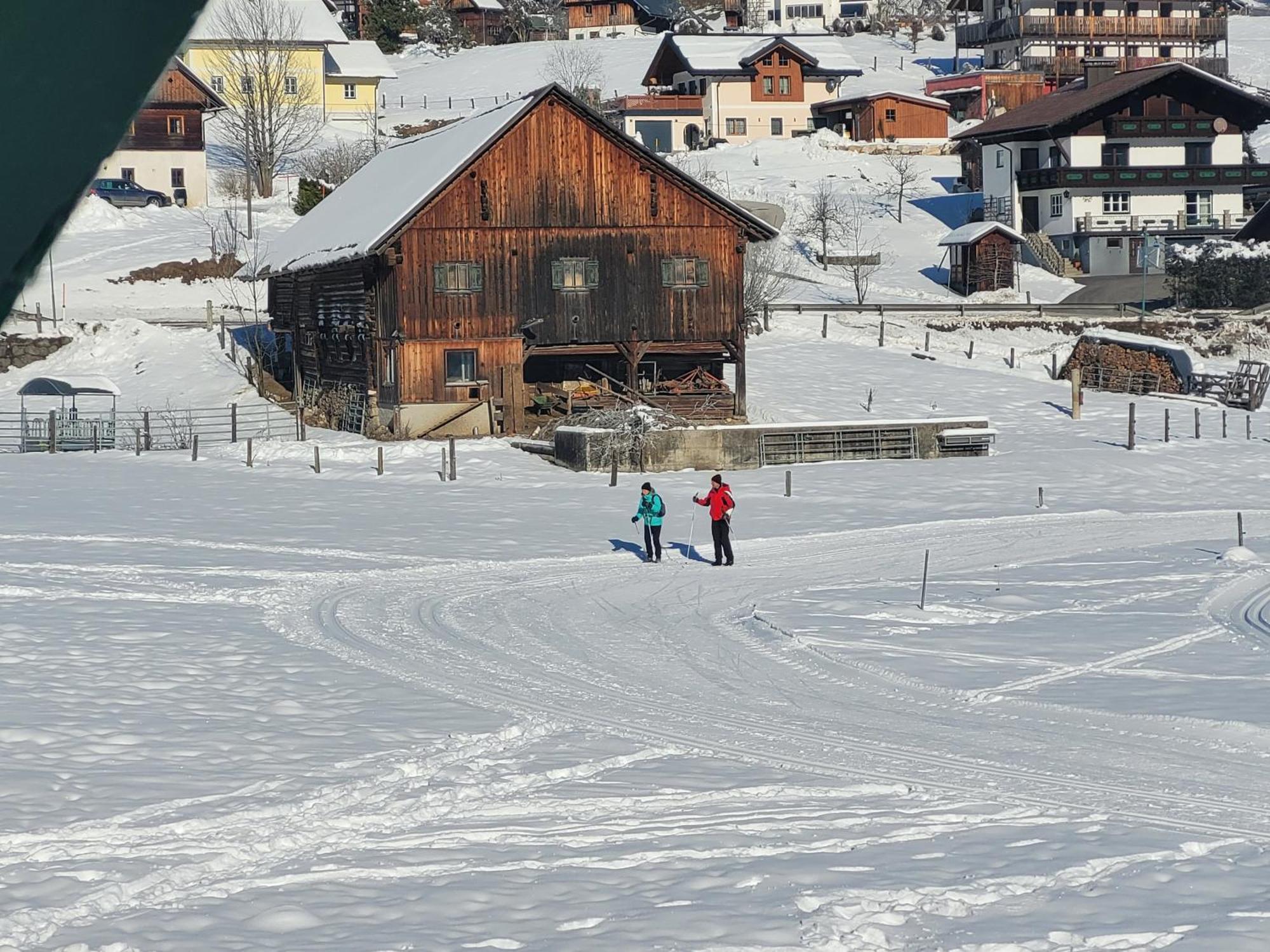 Apartmenthaus Edelweiss In Gosau Exterior foto