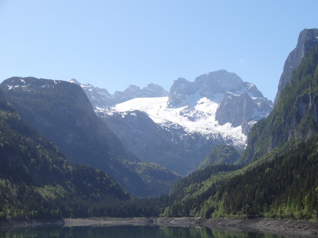 Apartmenthaus Edelweiss In Gosau Cameră foto