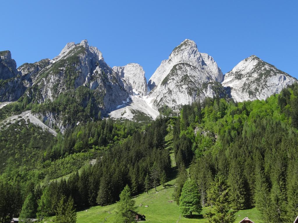 Apartmenthaus Edelweiss In Gosau Cameră foto